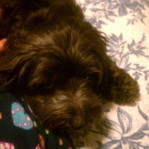 Meet your Posher, Miriam